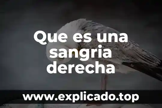 Qué es sangría concepto definición 3 Que es una sangria derecha