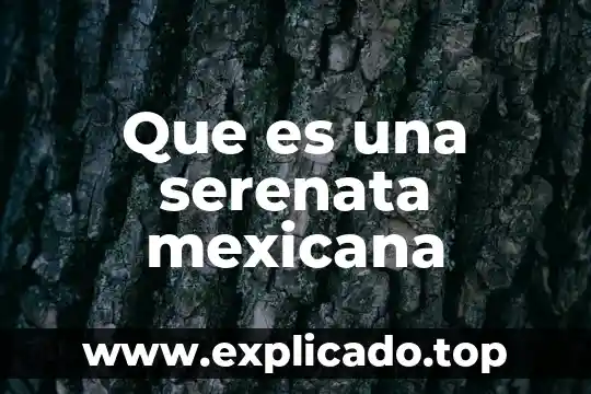 Que es la revolucion mexicana de 1910 para preescolar 6 Que es una serenata mexicana
