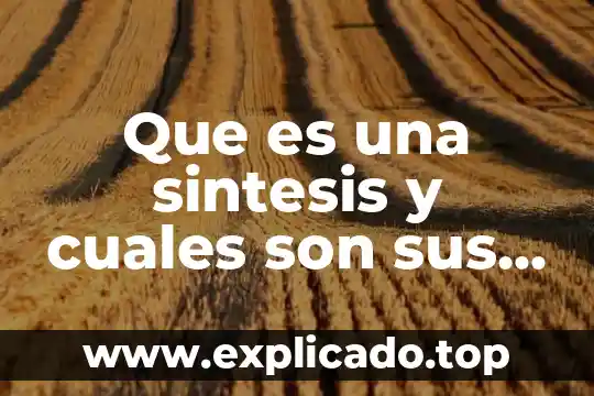 Qué es el derecho y cuáles son sus ramas 4 Que es una sintesis y cuales son sus elementos