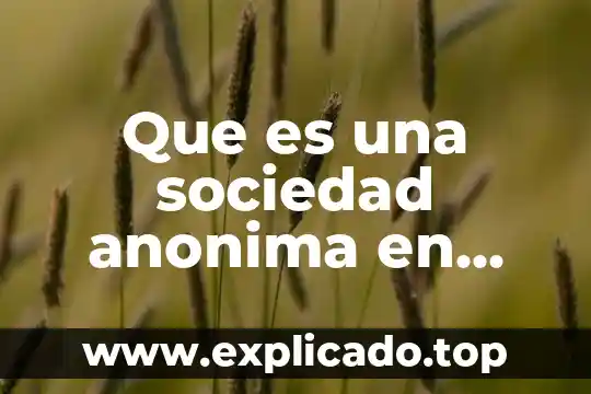 Que es una sociedad anonima de garantia reciproca 3 Que es una sociedad anonima en derecho mercantil