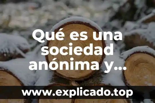 Que es la sociedad anonima yahoo 8 Qué es una sociedad anónima y ejemplos