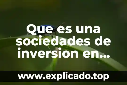 Que es el monto de inversion extrangera directa 8 Que es una sociedades de inversion en mexico