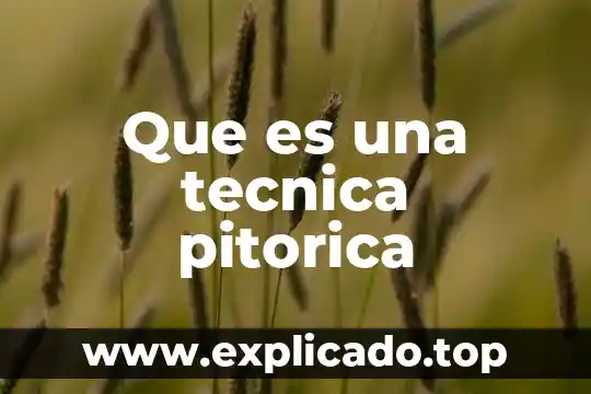 Que es una tecnica pitorica