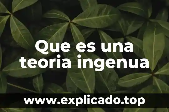 Qué es la teoría crítica y sus máximos representantes 8 Que es una teoria ingenua