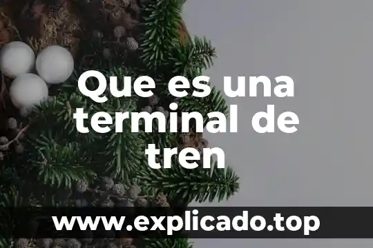 Que es una terminal carretra 6 Que es una terminal de tren