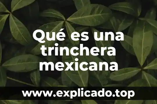 Que es una aficion personal ejemplos 6 Qué es una trinchera mexicana