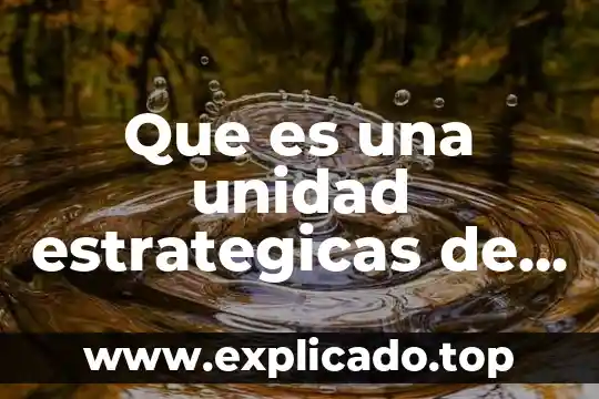 Que es una idea de negocio resumen 3 Que es una unidad estrategicas de negocio