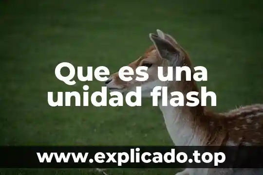 Que es una linea del tiempo en flash cs3 6 Que es una unidad flash