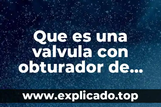 Que es ser un prodigo 7 Que es una valvula con obturador de movimiento circular