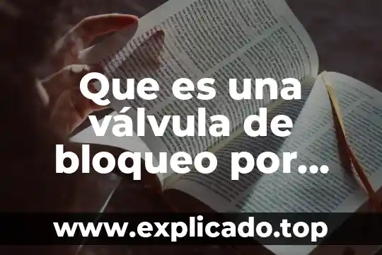 Válvula reguladora de presión que es 8 Que es una válvula de bloqueo por seguridad y purga