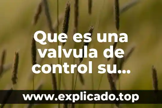 Válvula reguladora de presión que es 7 Que es una valvula de control su funcion y aplicaciones