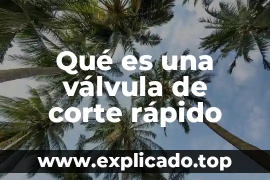 Que es el corte carre de cerdo 5 Qué es una válvula de corte rápido