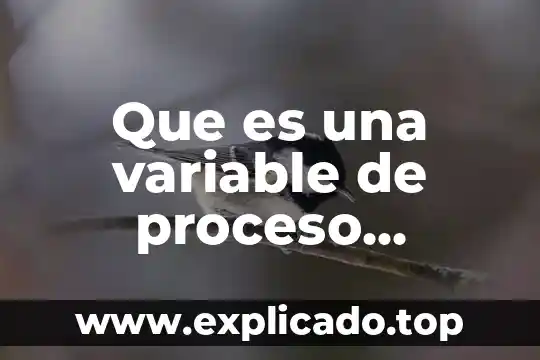 Que es una variable en probabilidad 7 Que es una variable de proceso industrial