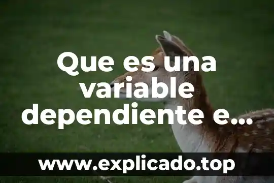 Investigar qué es variable dependiente 8 Que es una variable dependiente e independiente en estadistica