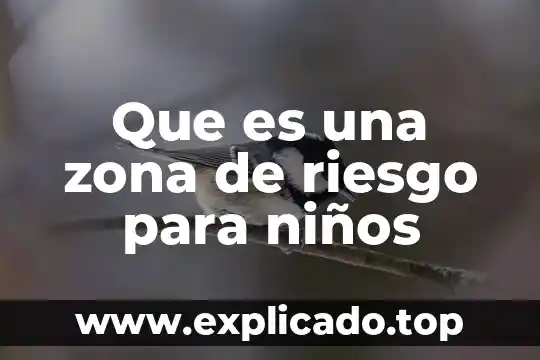 Que es la zona libre en tijuana 8 Que es una zona de riesgo para niños