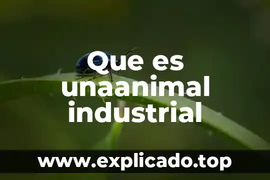 Que es un micro industrial 8 Que es unaanimal industrial