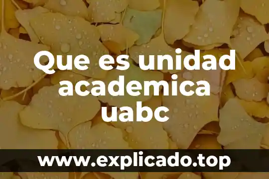 Ejemplo de que es una distincion academica 5 Que es unidad academica uabc