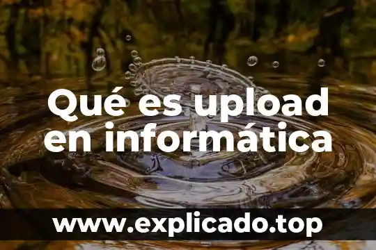 Irp que es en informatica 3 Qué es upload en informática