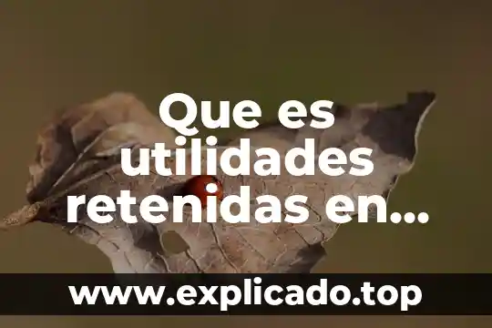 Que es el metodo de porcientos integrales utilidades y formula 5 Que es utilidades retenidas en contabilidad
