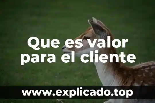 Por que es importante dar un buen servicio al cliente 4 Que es valor para el cliente