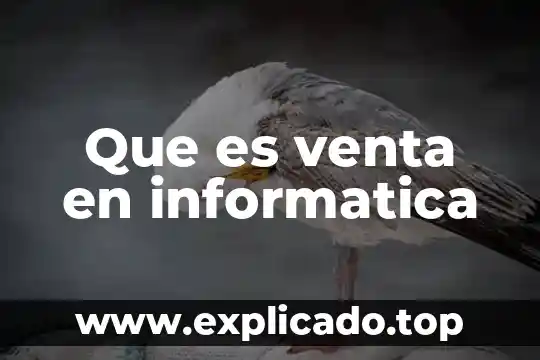 Que es el departamento de venta en una constructora 8 Que es venta en informatica