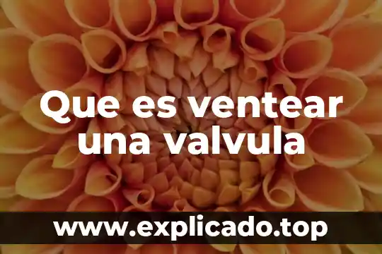 Válvula reguladora de presión que es 5 Que es ventear una valvula