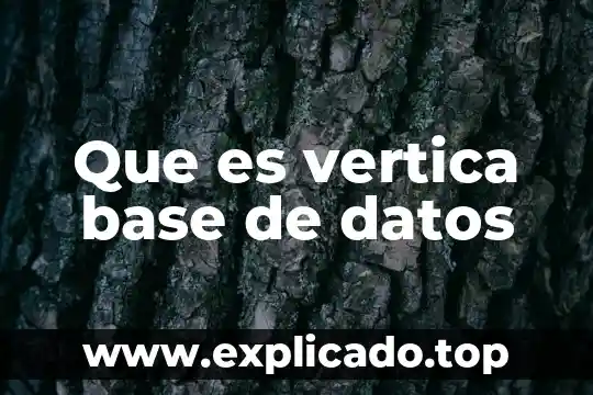 Que es un bloqueo en base de datos 7 Que es vertica base de datos
