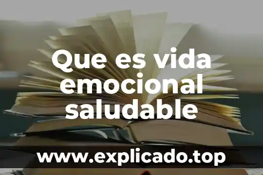 Que es un tesoro emocional y material 6 Que es vida emocional saludable
