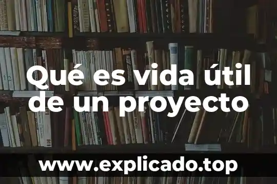 Que es de la vida de noelia pompa 2019 8 Qué es vida útil de un proyecto