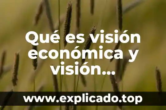 Que es el periodo de conversion en matematica financiera 3 Qué es visión económica y visión financiera