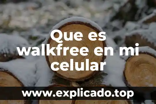 Que es el ordenador de mi computadora 5 Que es walkfree en mi celular
