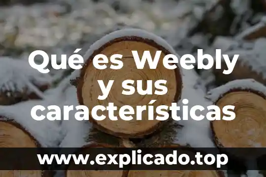 Qué es coloide y sus características 5 Qué es Weebly y sus características