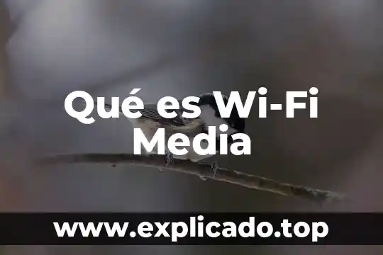 Que es velocidad y velocidad media 5 Qué es Wi-Fi Media