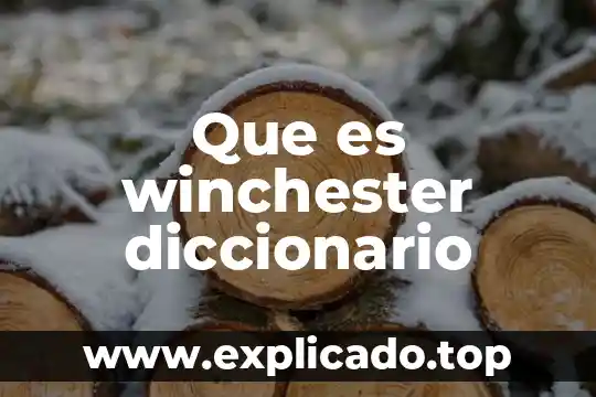 Que es kamikaze diccionario 6 Que es winchester diccionario