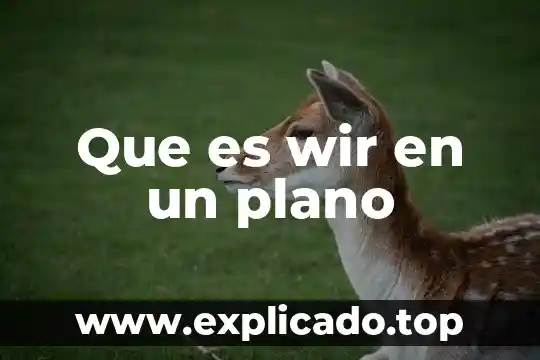 Por qué es importante que se cauce 6 Que es wir en un plano