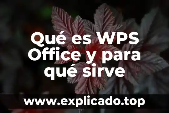 Que es wps activado 5 Qué es WPS Office y para qué sirve