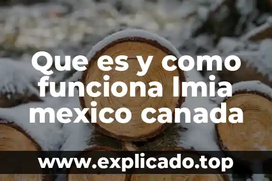 Qué es leasing y como funciona 4 Que es y como funciona lmia mexico canada