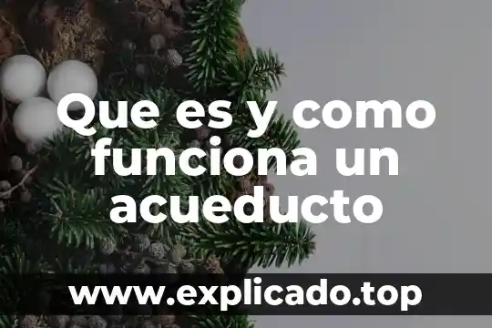 Qué es leasing y como funciona 6 Que es y como funciona un acueducto