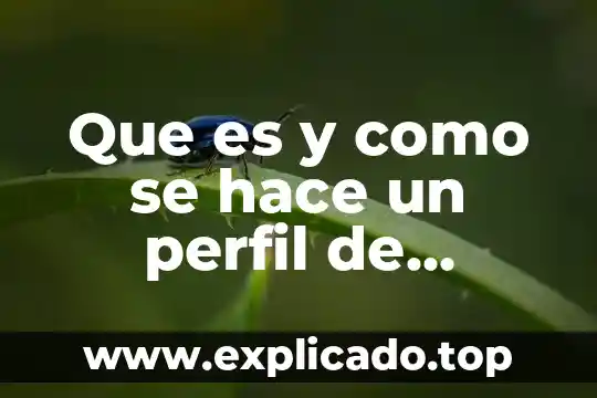 Que es y como se hace un perfil de puesto