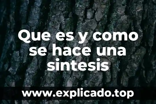 Que es y como se hace una sintesis