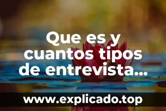 Que es y cuantos tipos de entrevista hay