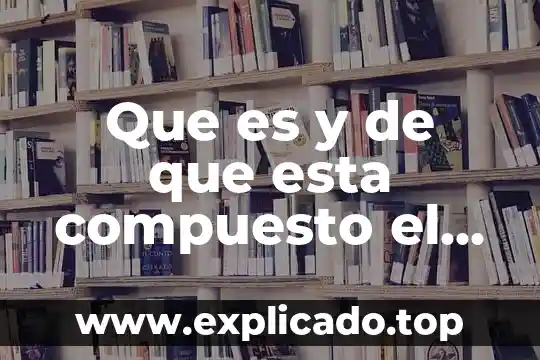 Que es la madera elemento compuesto o mezcla 8 Que es y de que esta compuesto el sistema limbico