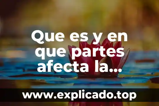 Que es la constitución mexicana animada 4 Que es y en que partes afecta la gonorrea animada