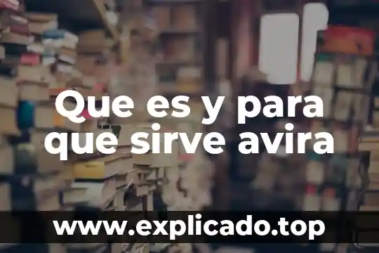 Que es y para que sirve una direccion mac 6 Que es y para que sirve avira