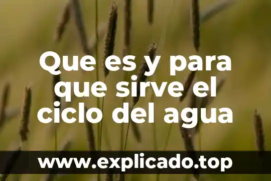 Que es la evapotranspiración en el ciclo del agua 3 Que es y para que sirve el ciclo del agua
