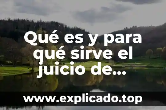 Por que es recurso o juicio de amparo 8 Qué es y para qué sirve el juicio de amparo