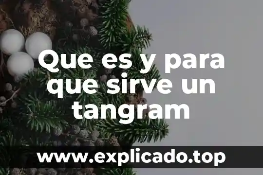 Que es y para que sirve una direccion mac 8 Que es y para que sirve un tangram
