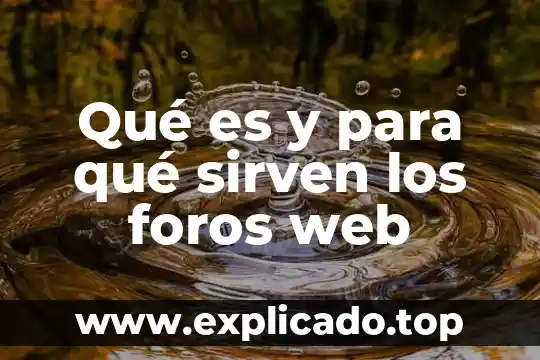 Qué es y para qué sirven las regulaciones no arancelarias 7 Qué es y para qué sirven los foros web