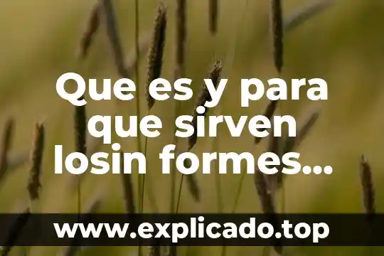 Qué es y para qué sirven las regulaciones no arancelarias 3 Que es y para que sirven losin formes em access