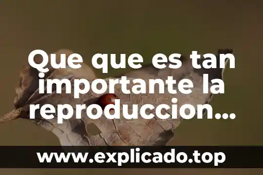 Que que es tan importante la reproduccion en el mundo
